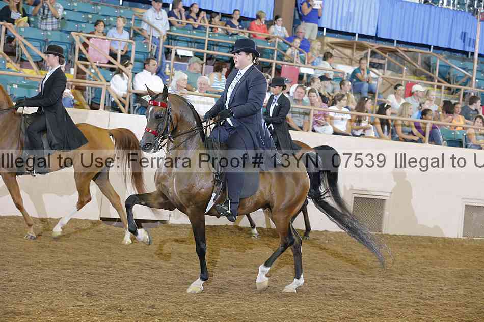 Proof 13yn_07539
