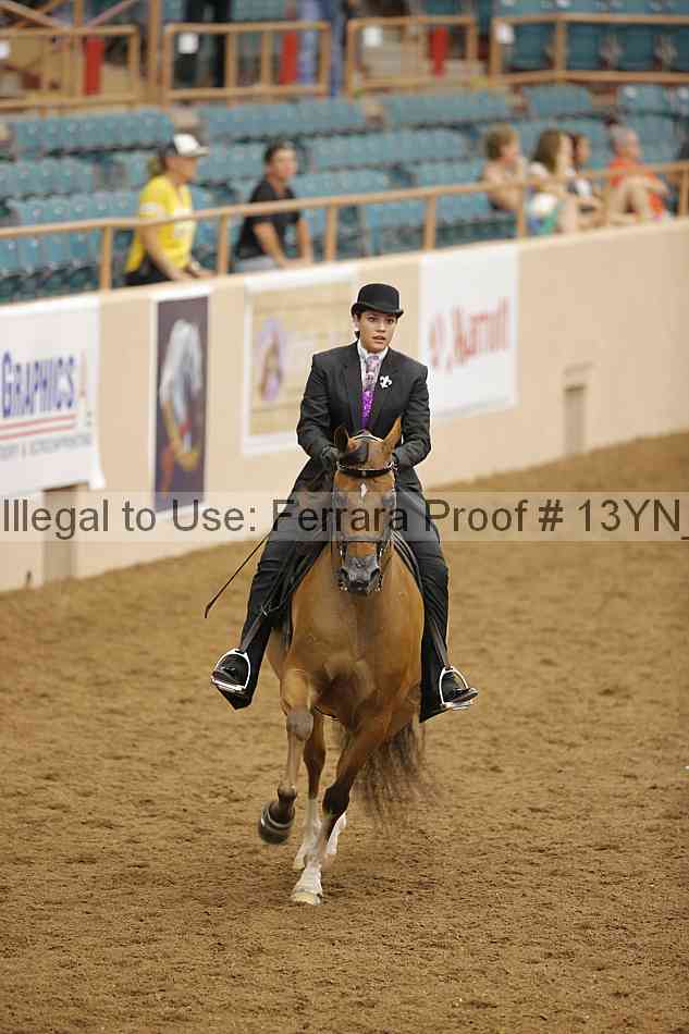 Proof 13yn_07540