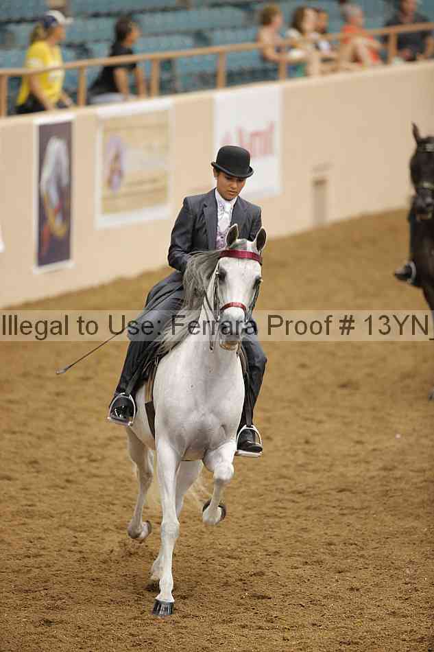 Proof 13yn_07543