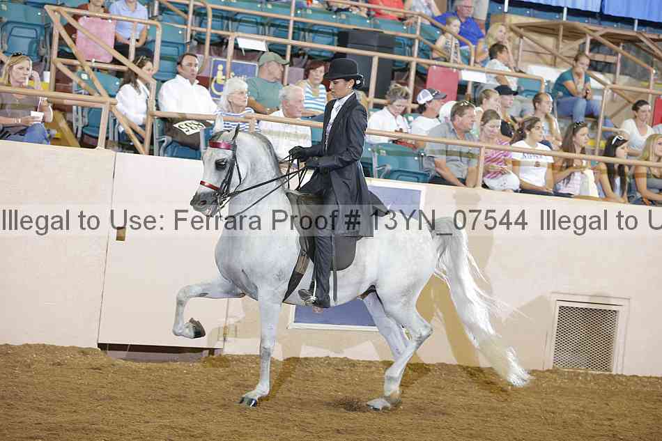Proof 13yn_07544