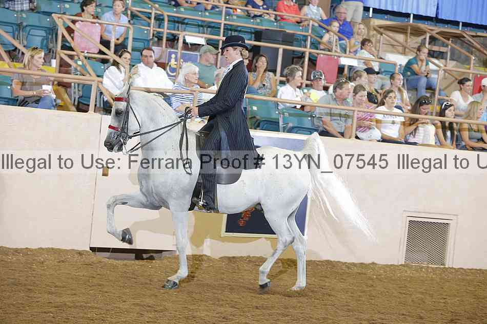 Proof 13yn_07545