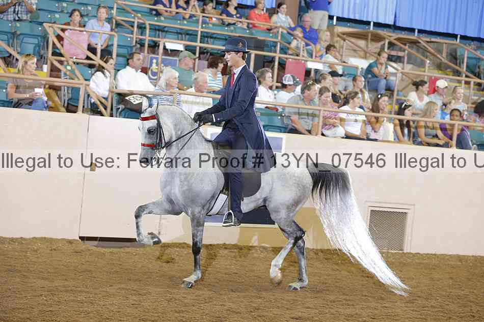 Proof 13yn_07546