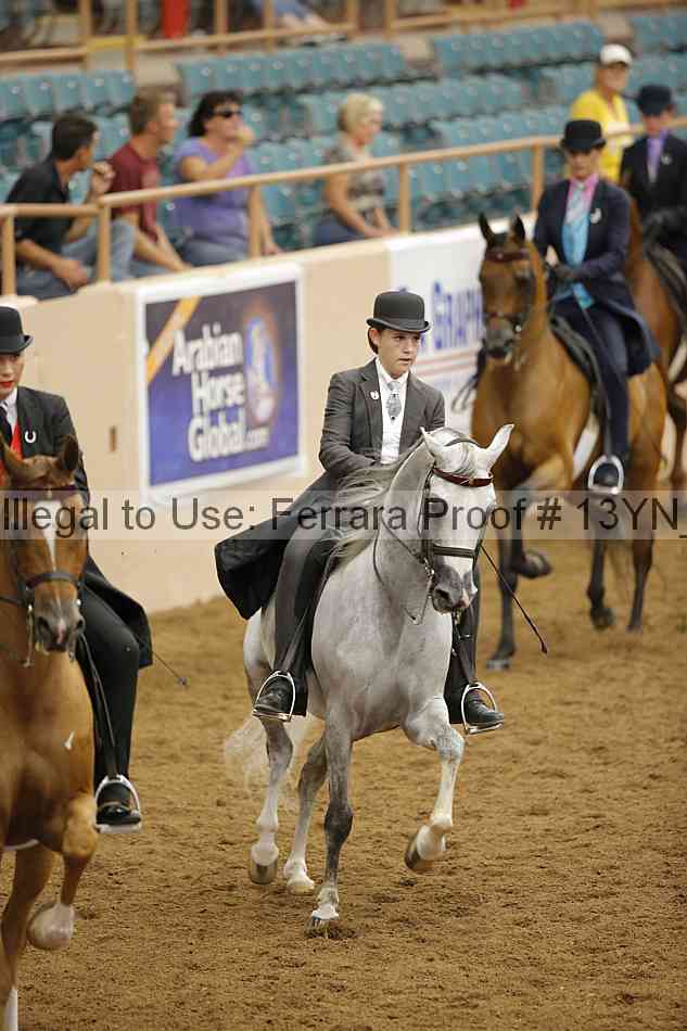 Proof 13yn_07548