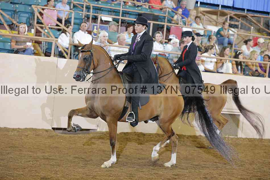 Proof 13yn_07549