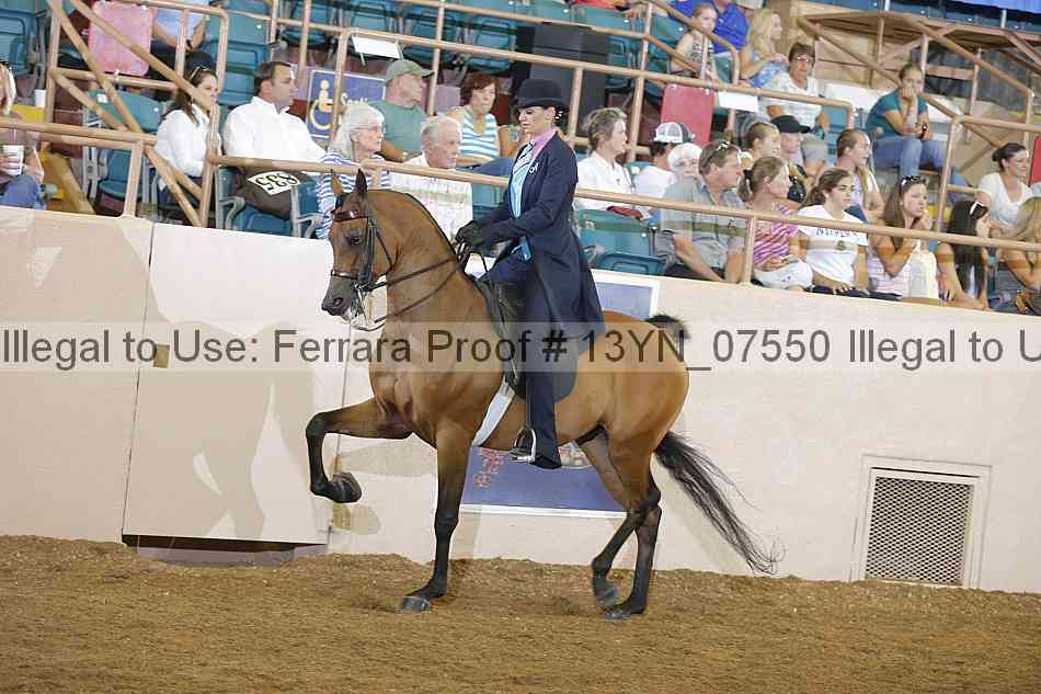 Proof 13yn_07550