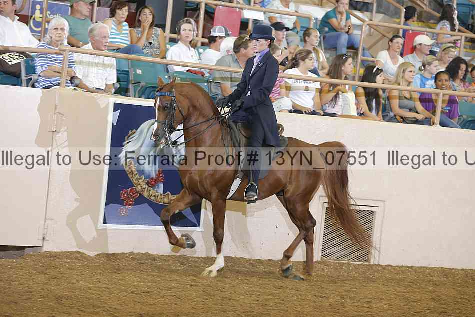 Proof 13yn_07551