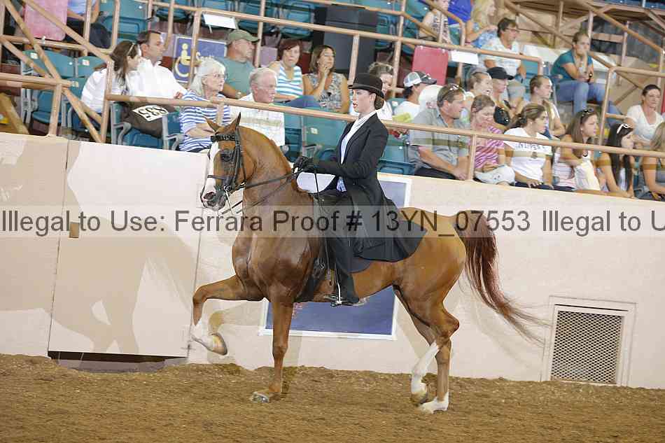 Proof 13yn_07553