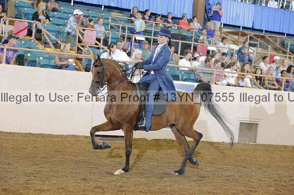 Proof 13yn_07555