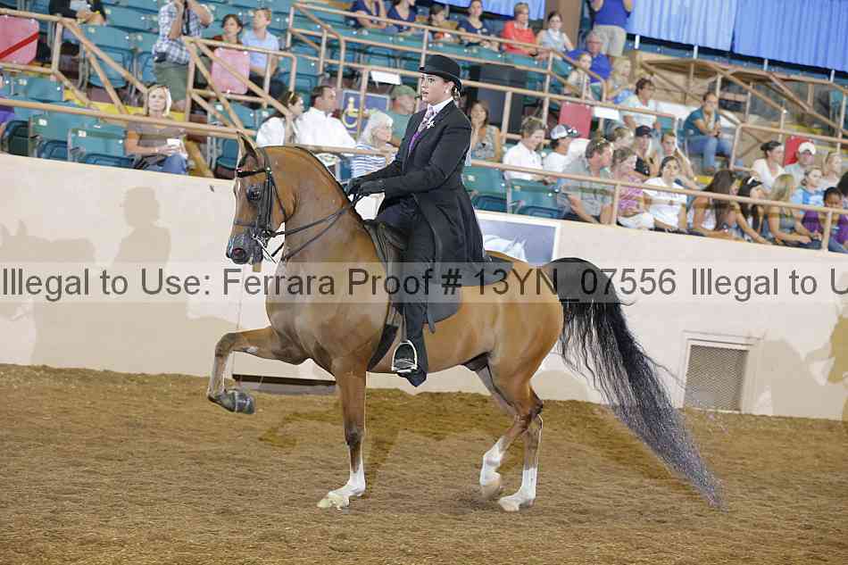 Proof 13yn_07556