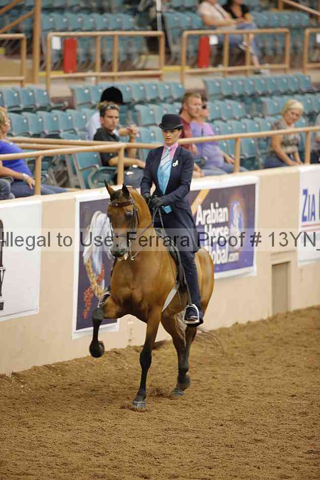 Proof 13yn_07558