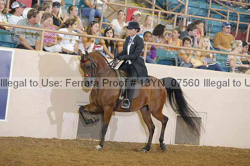 Proof 13yn_07560
