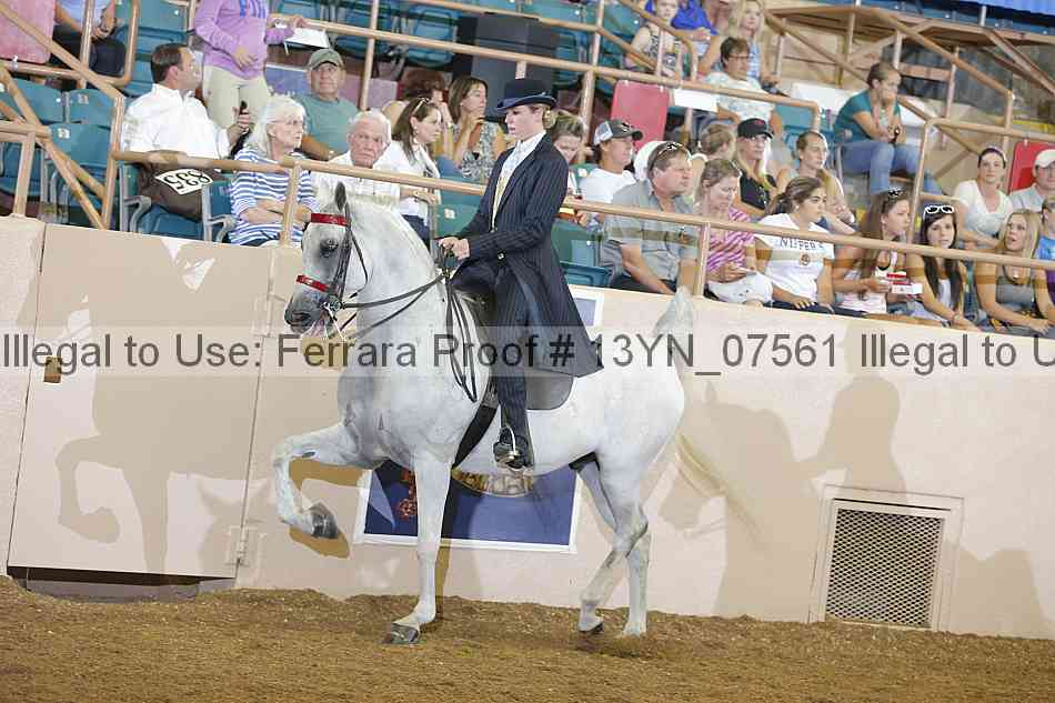 Proof 13yn_07561