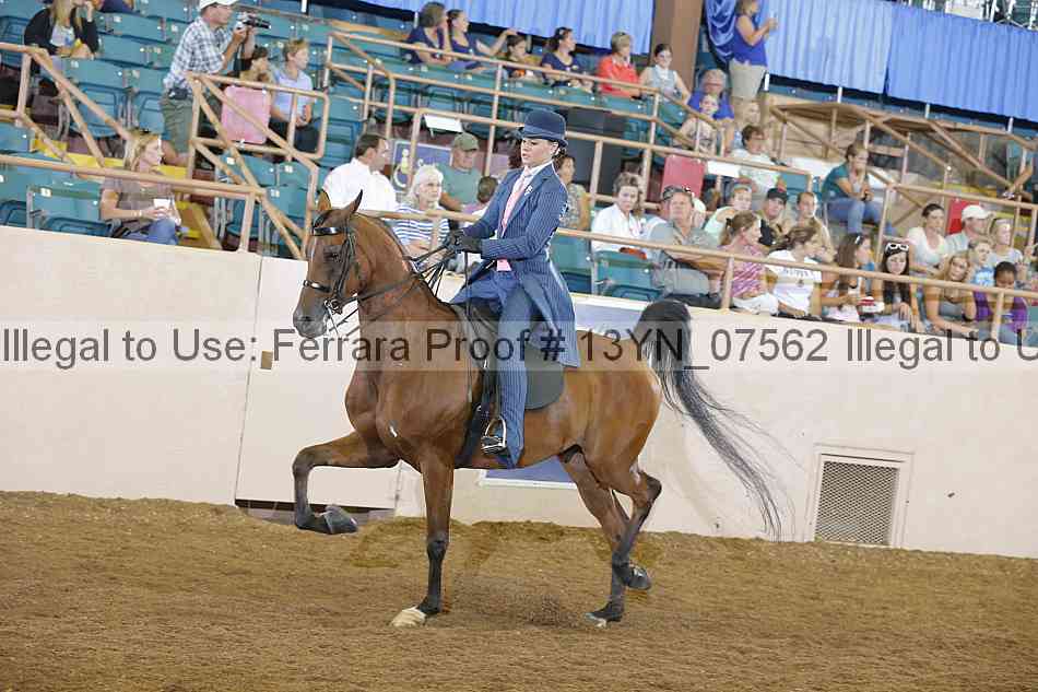 Proof 13yn_07562