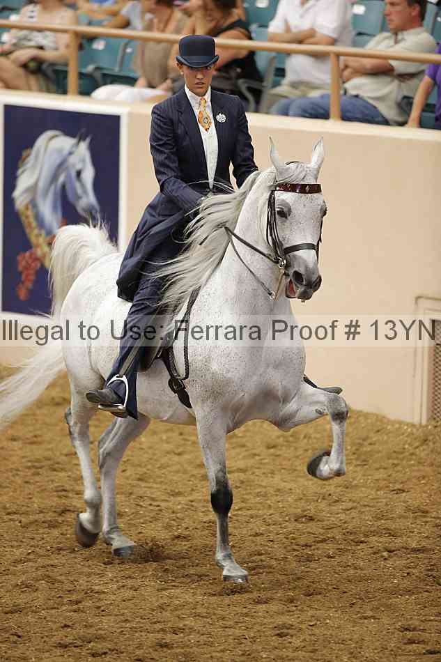 Proof 13yn_07564