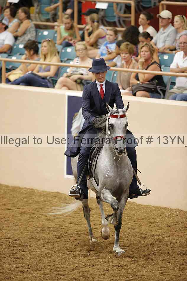 Proof 13yn_07566