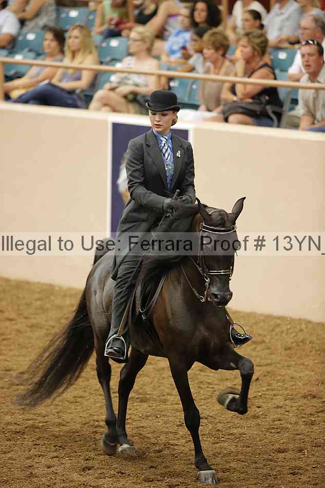 Proof 13yn_07569