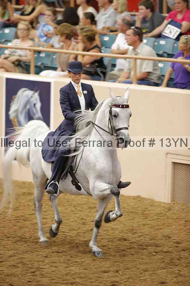 Proof 13yn_07570