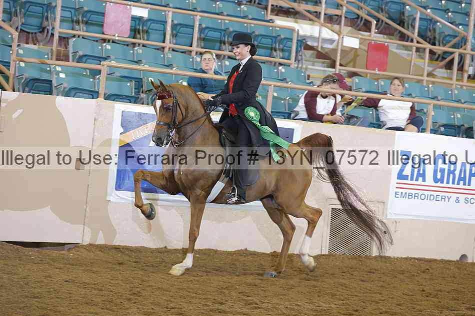 Proof 13yn_07572