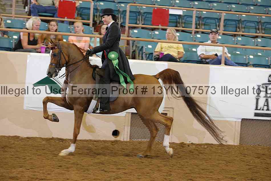Proof 13yn_07573
