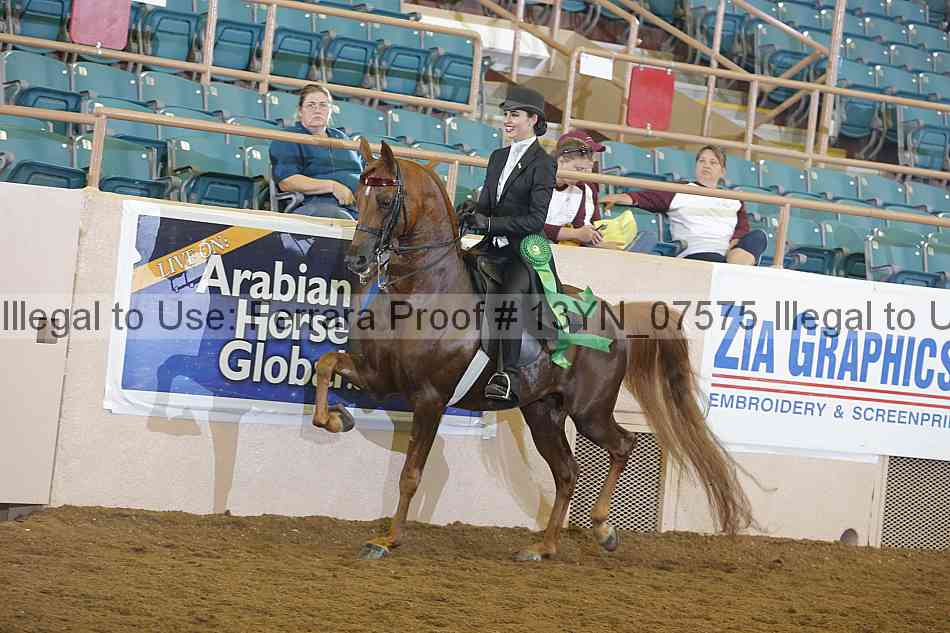 Proof 13yn_07575