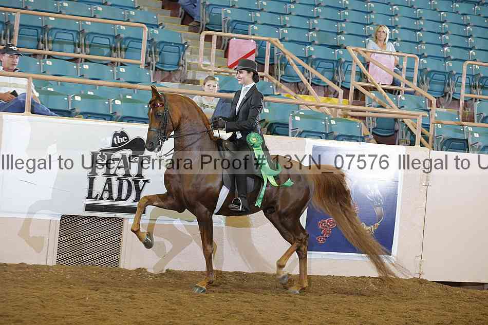 Proof 13yn_07576