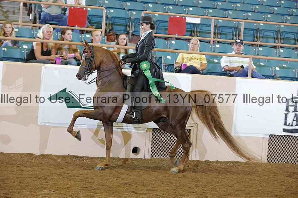 Proof 13yn_07577
