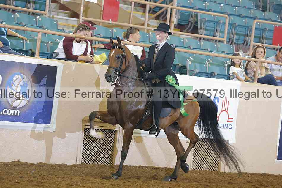 Proof 13yn_07579