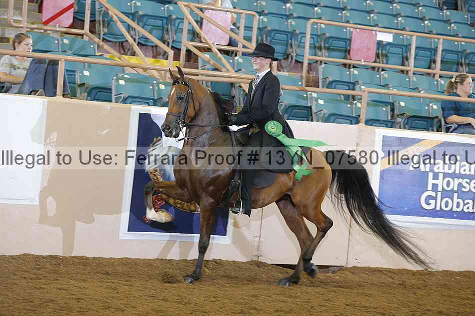 Proof 13yn_07580
