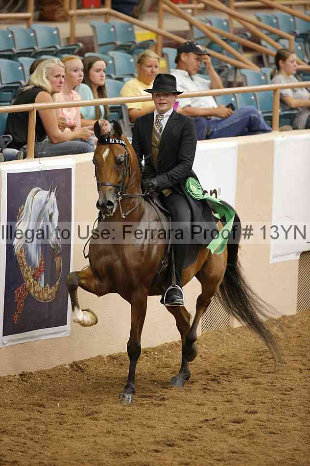 Proof 13yn_07582