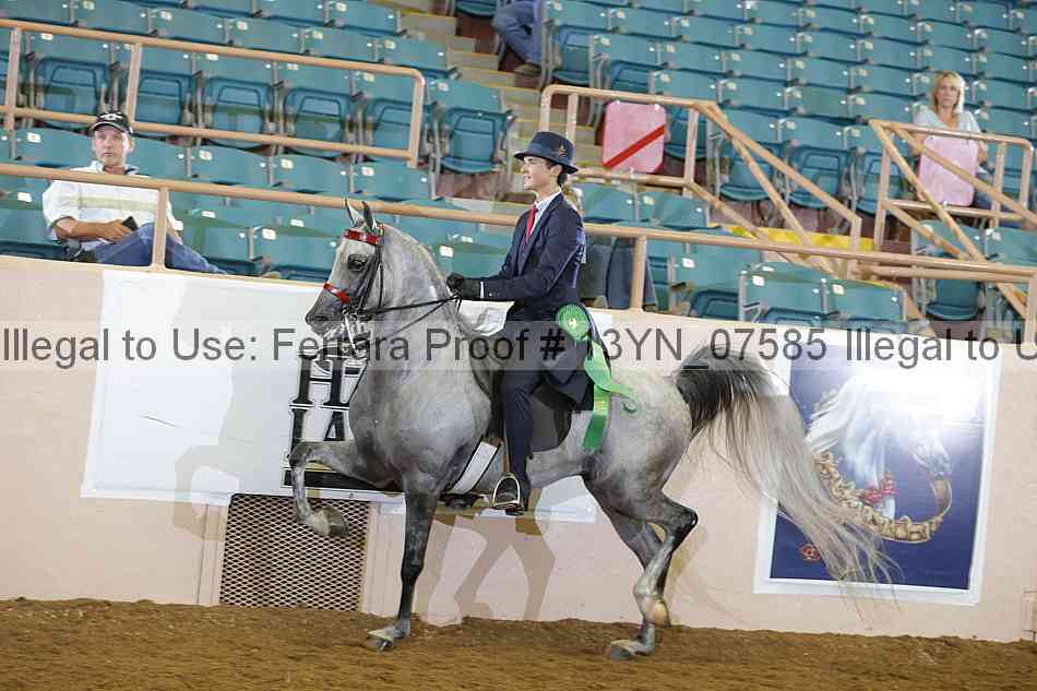 Proof 13yn_07585
