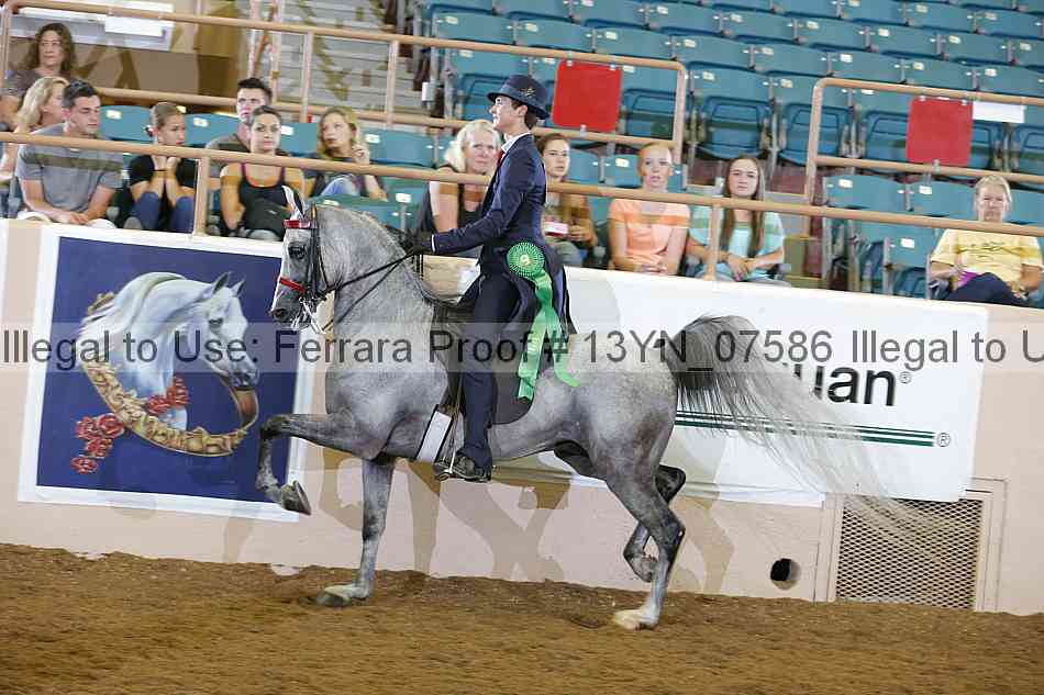 Proof 13yn_07586