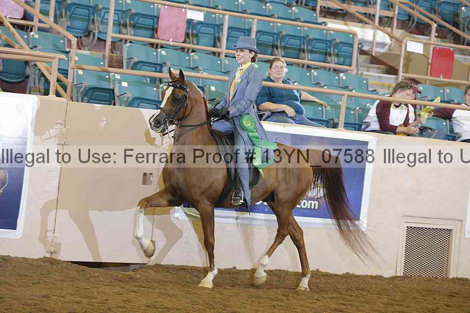 Proof 13yn_07588