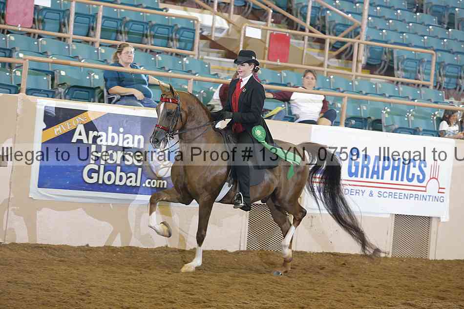 Proof 13yn_07591