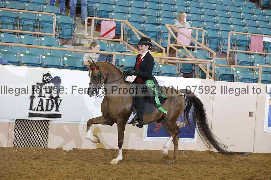 Proof 13yn_07592