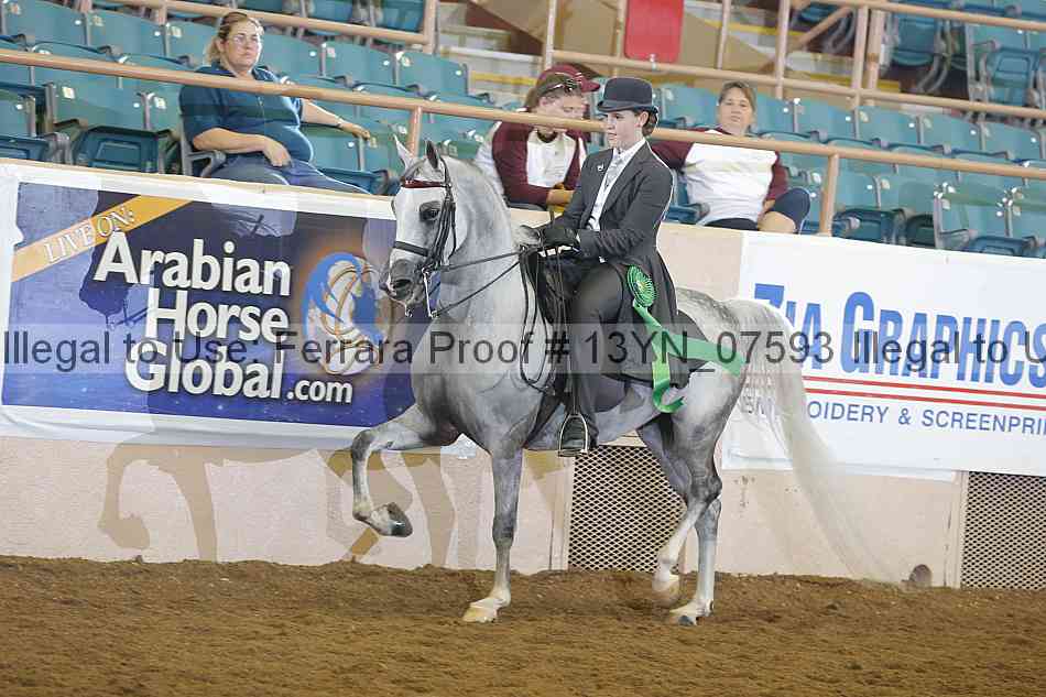 Proof 13yn_07593