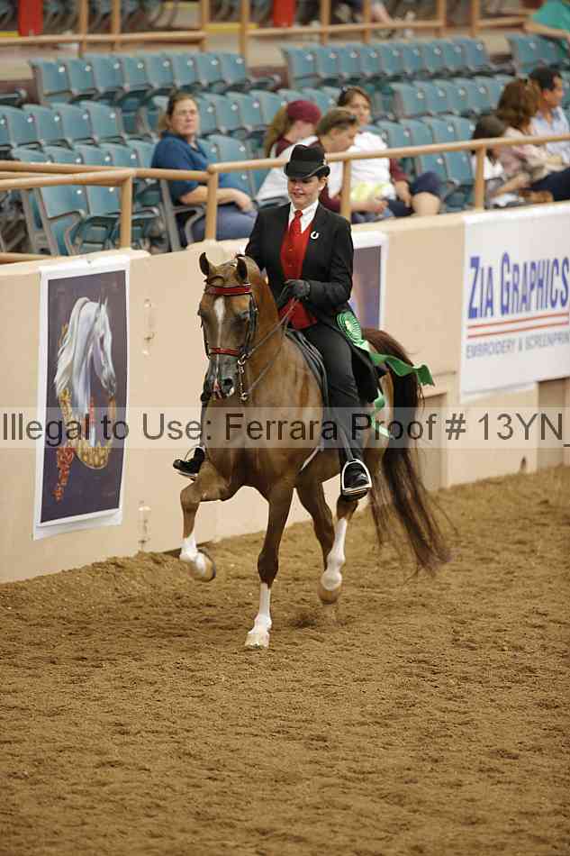 Proof 13yn_07594