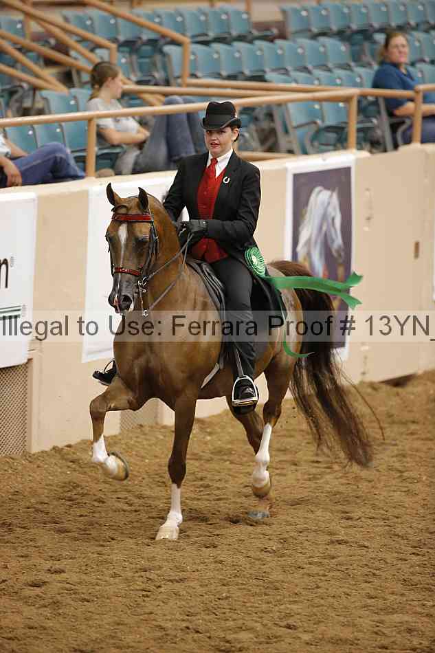 Proof 13yn_07595