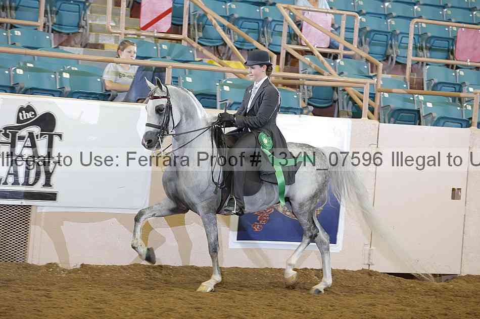 Proof 13yn_07596