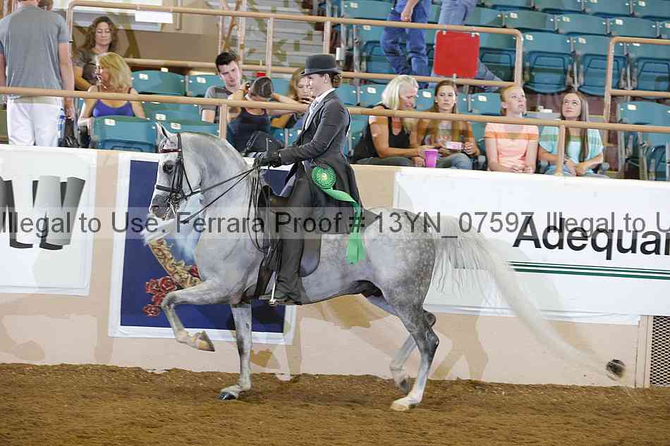 Proof 13yn_07597