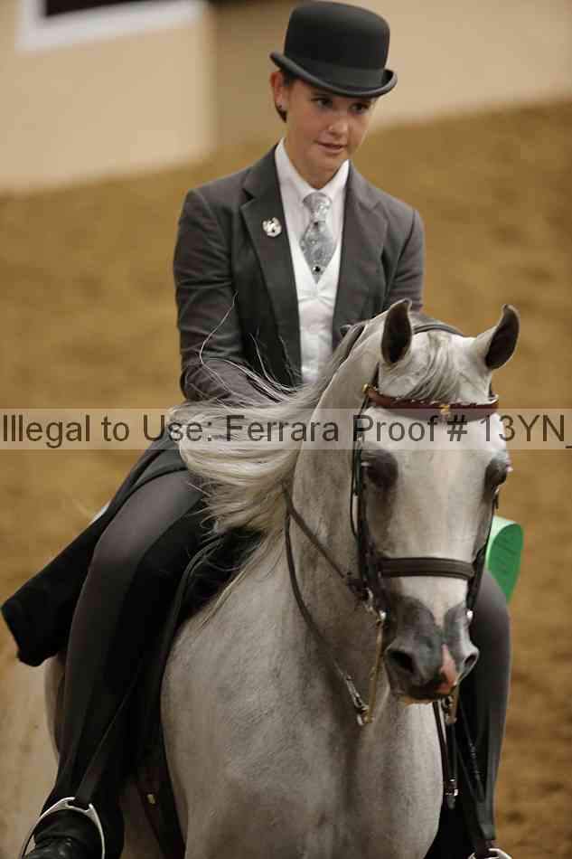 Proof 13yn_07599