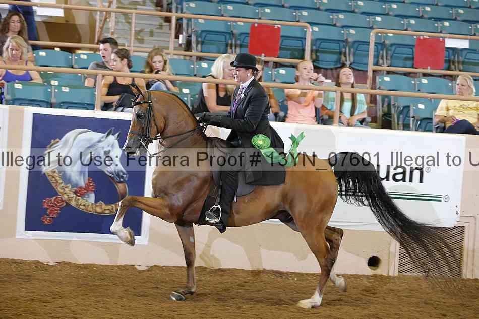 Proof 13yn_07601