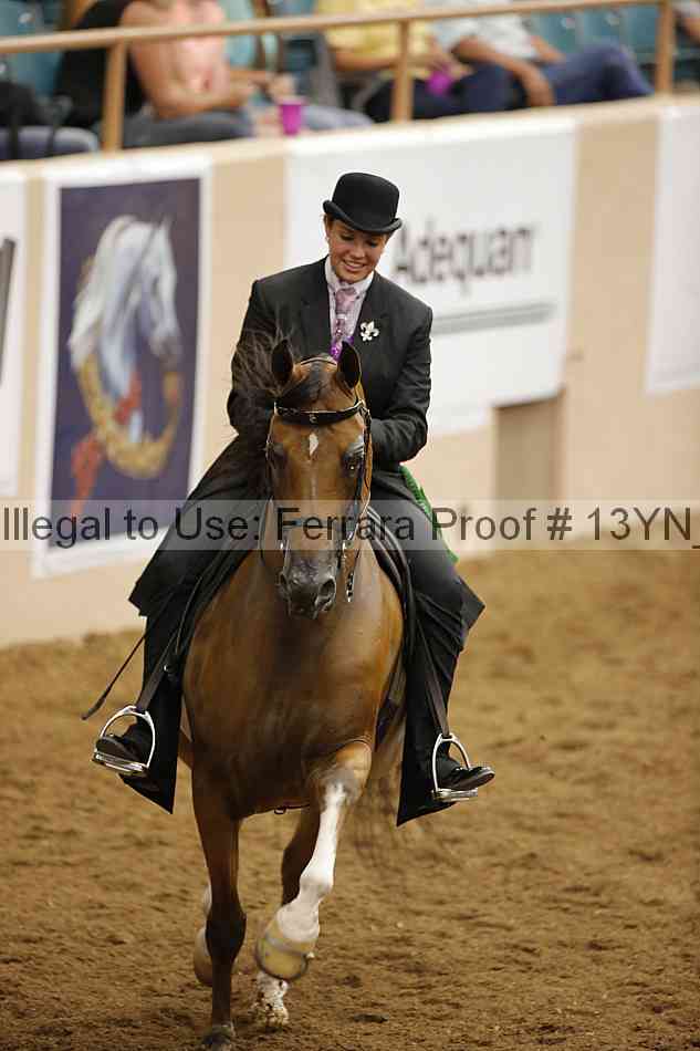 Proof 13yn_07603