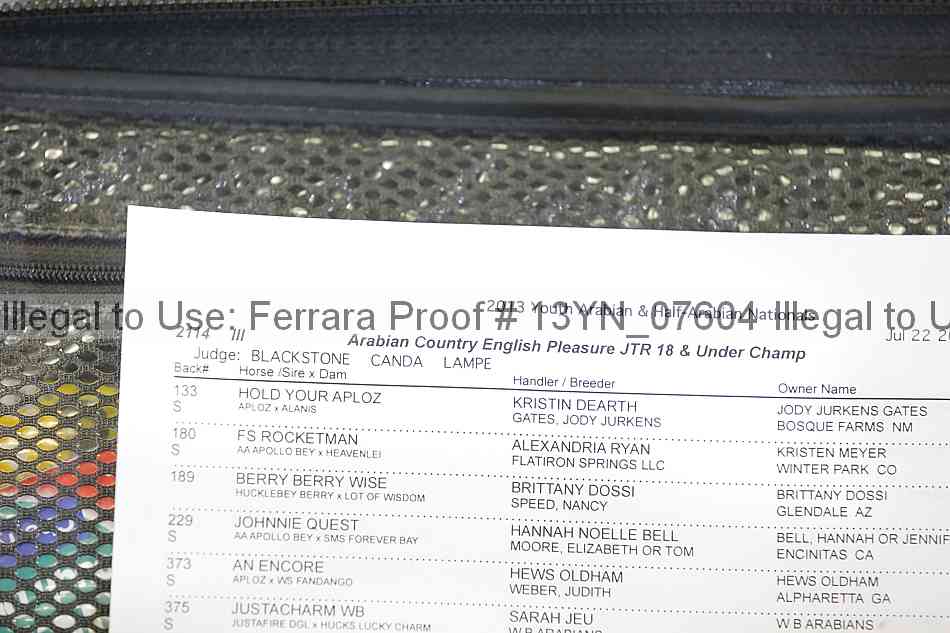 Proof 13yn_07604