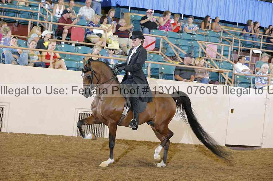 Proof 13yn_07605