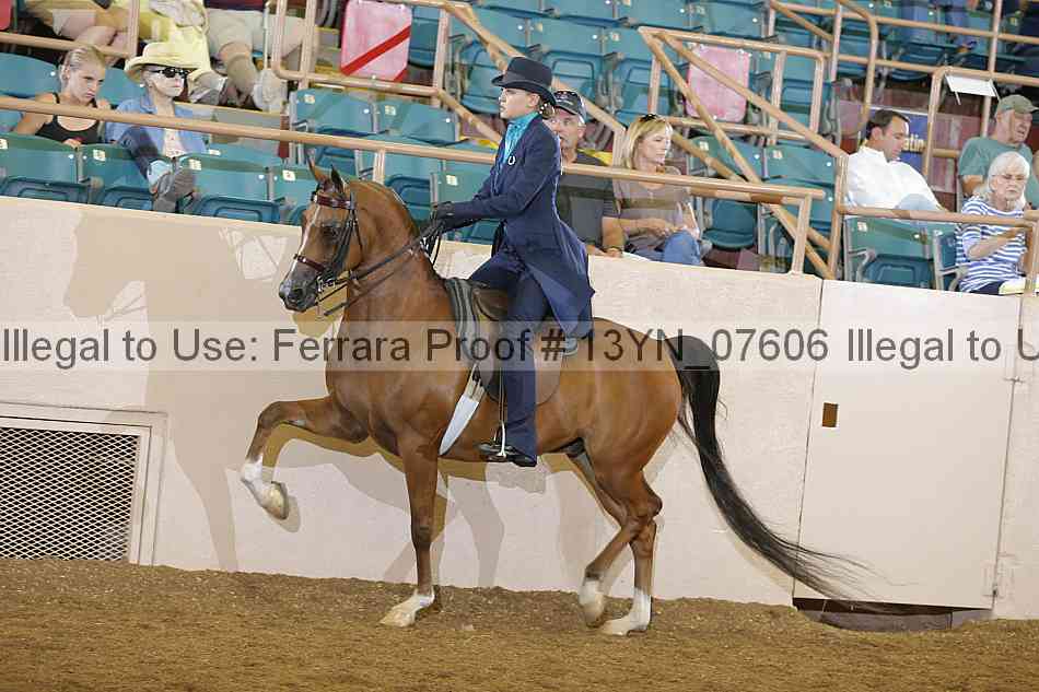 Proof 13yn_07606