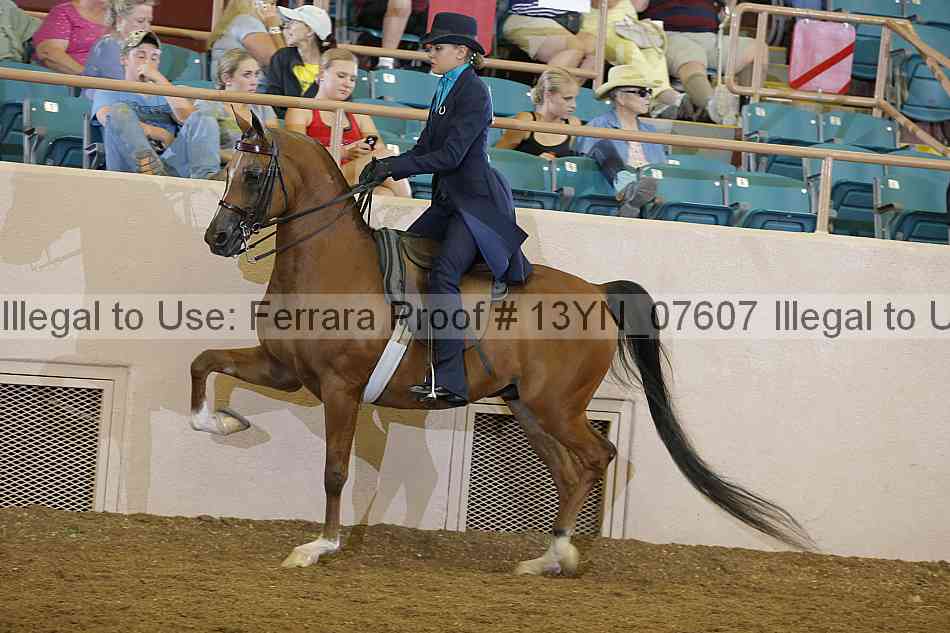 Proof 13yn_07607