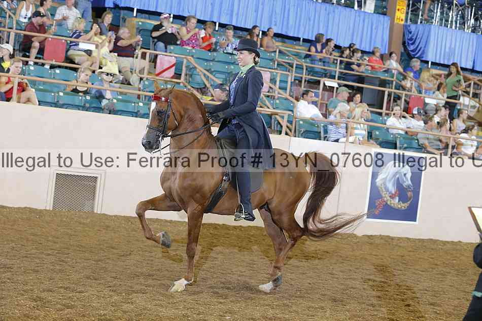 Proof 13yn_07608