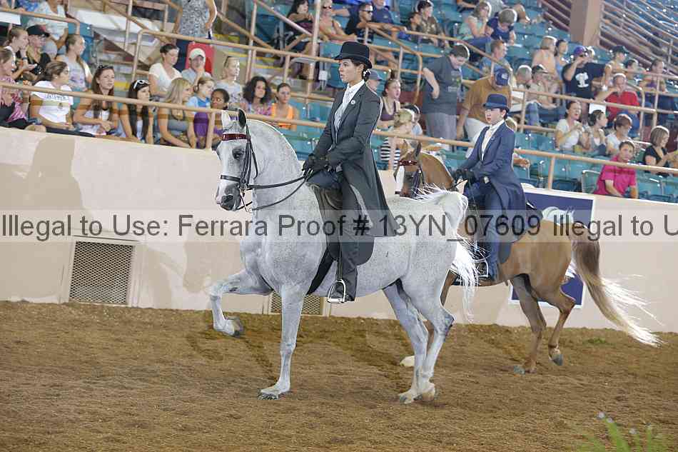 Proof 13yn_07609