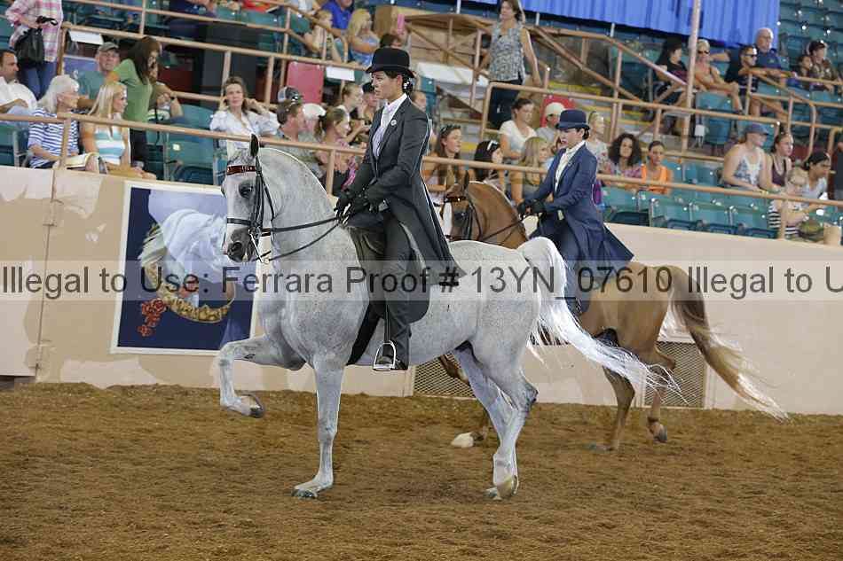 Proof 13yn_07610