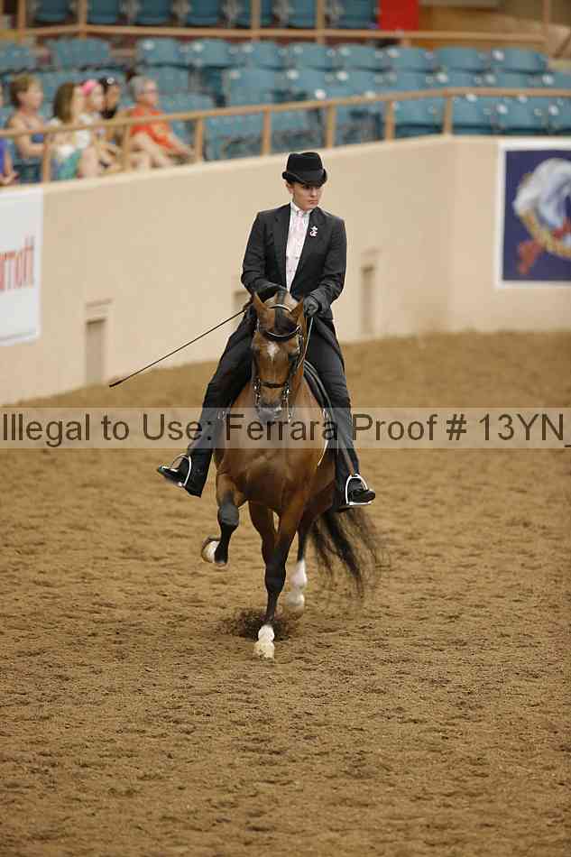 Proof 13yn_07611